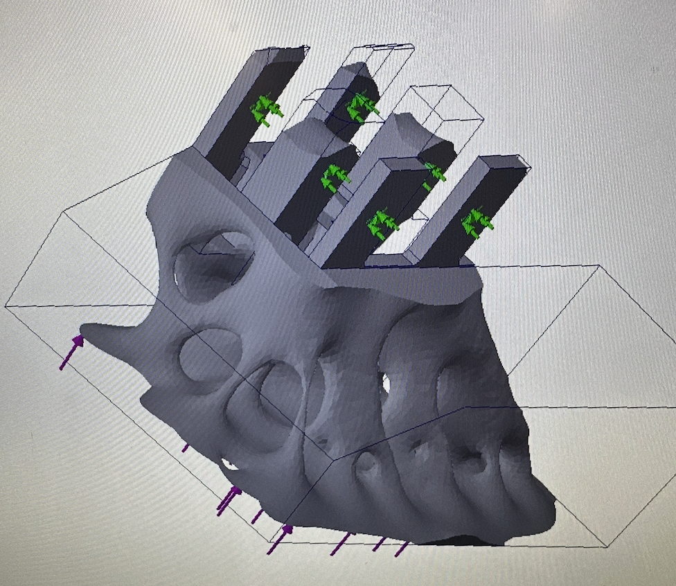 quadruped, day two